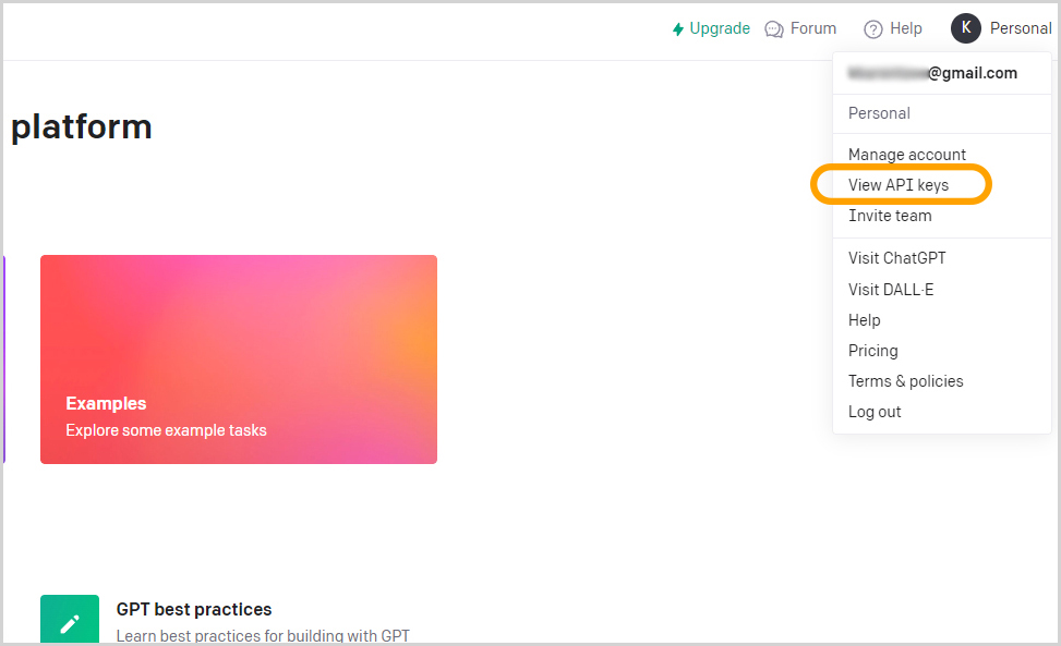View API Keys
